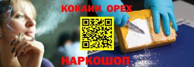 крисы Можга