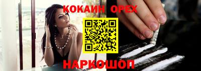 крисы Можга