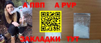 крисы Можга