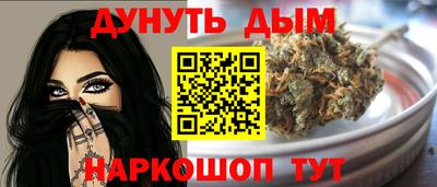 крисы Можга