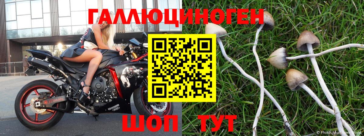 Холмск  Галлюциногенные грибы мухоморы  Вход с VPN 